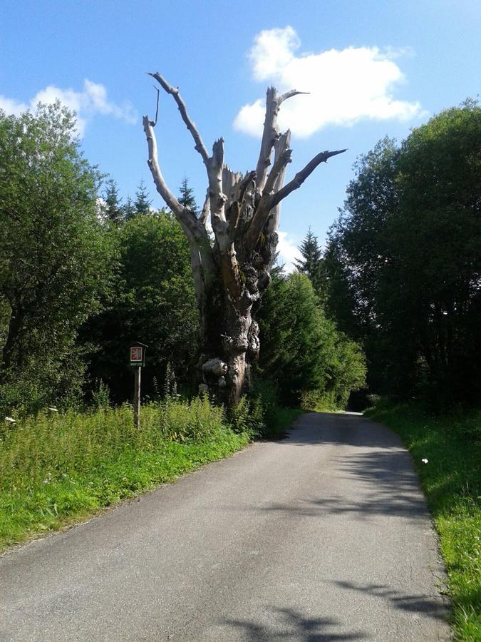 Apartmán 7 Stožec Kültér fotó